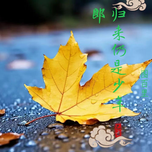 归来仍是少年郎