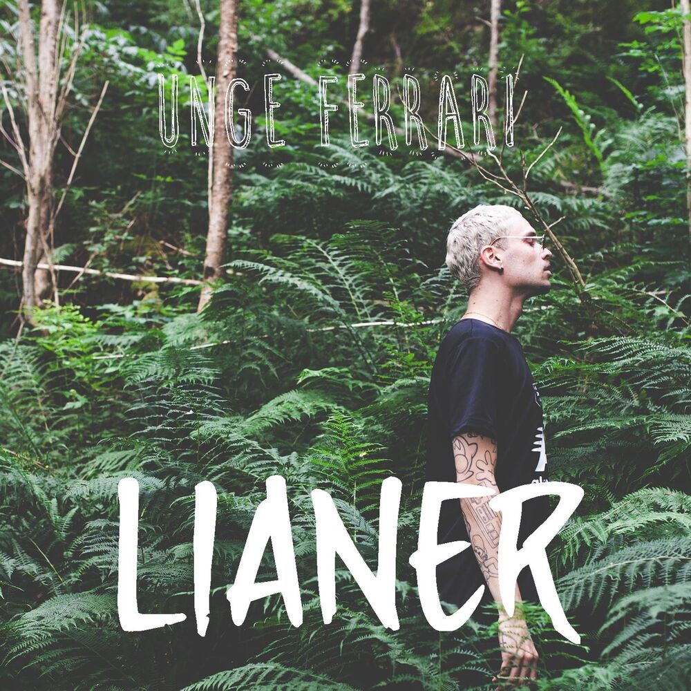 Picture of Lianer