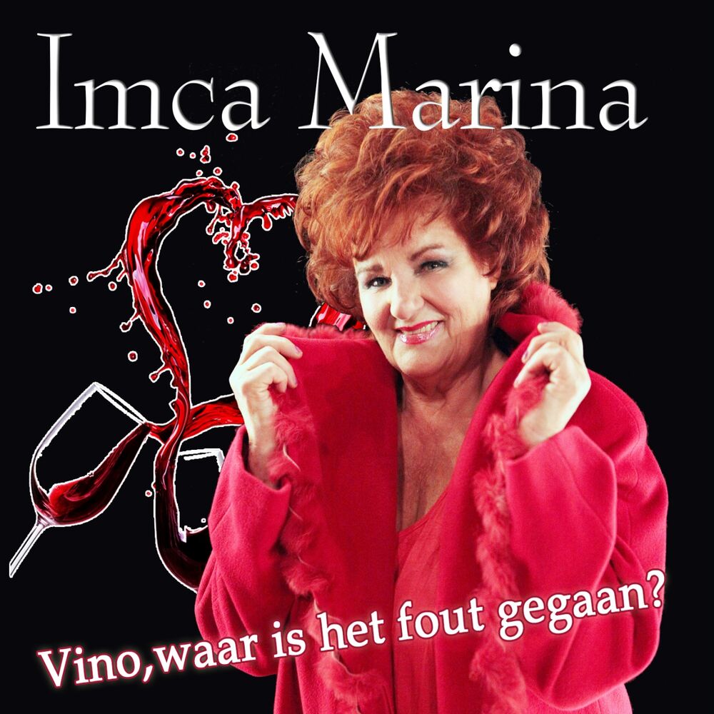 Picture of Vino, waar is het fout gegaan?