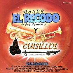 Cover of Dos Gigantes
