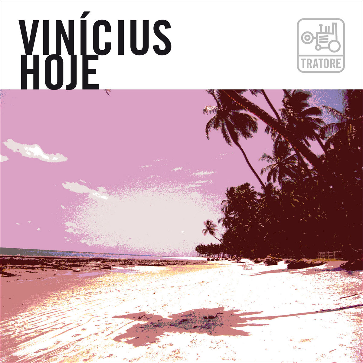 Album cover of Arrastão