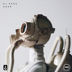 Cover of Boom