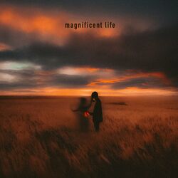 Cover of Magnificent Life