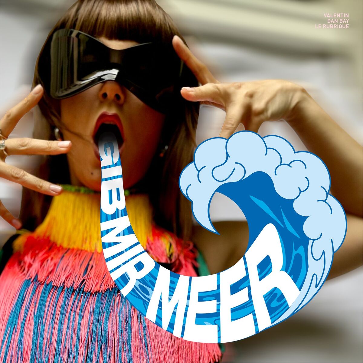 Album cover of Gib mir Meer