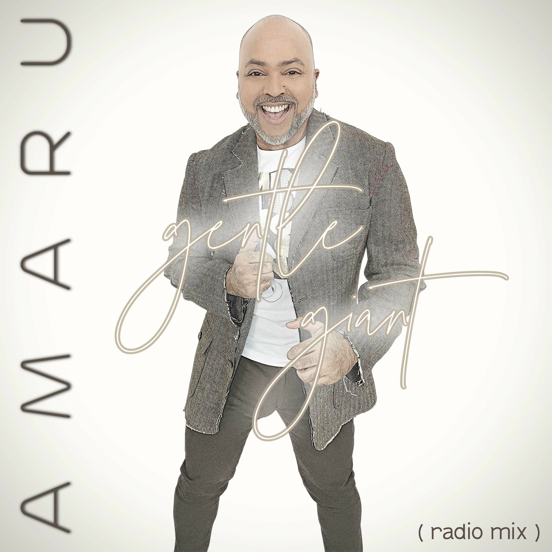 Album cover of Gentle Giant (Radio Mix)