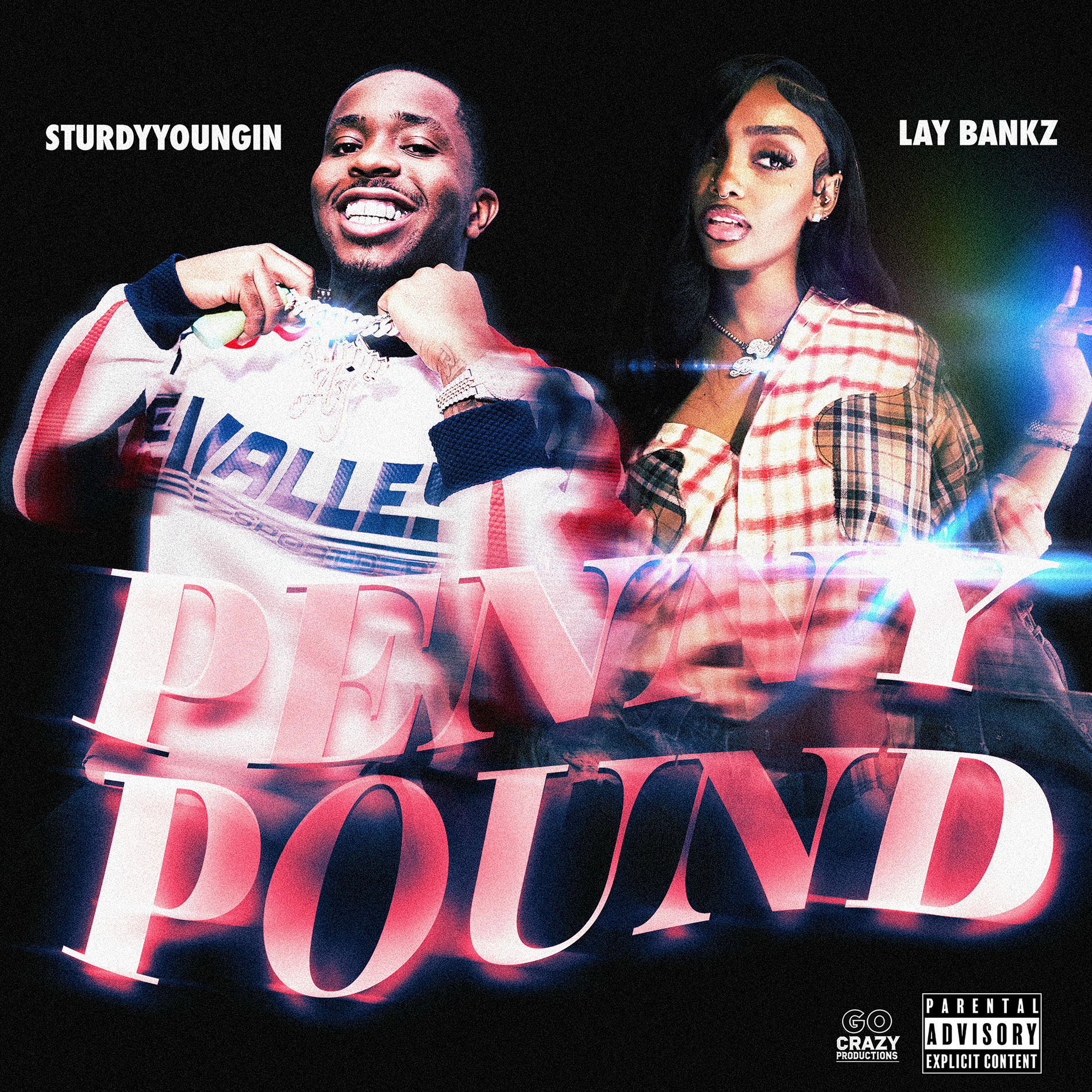 Album cover of Penny Pound