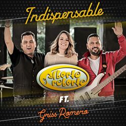 Cover of Indispensable