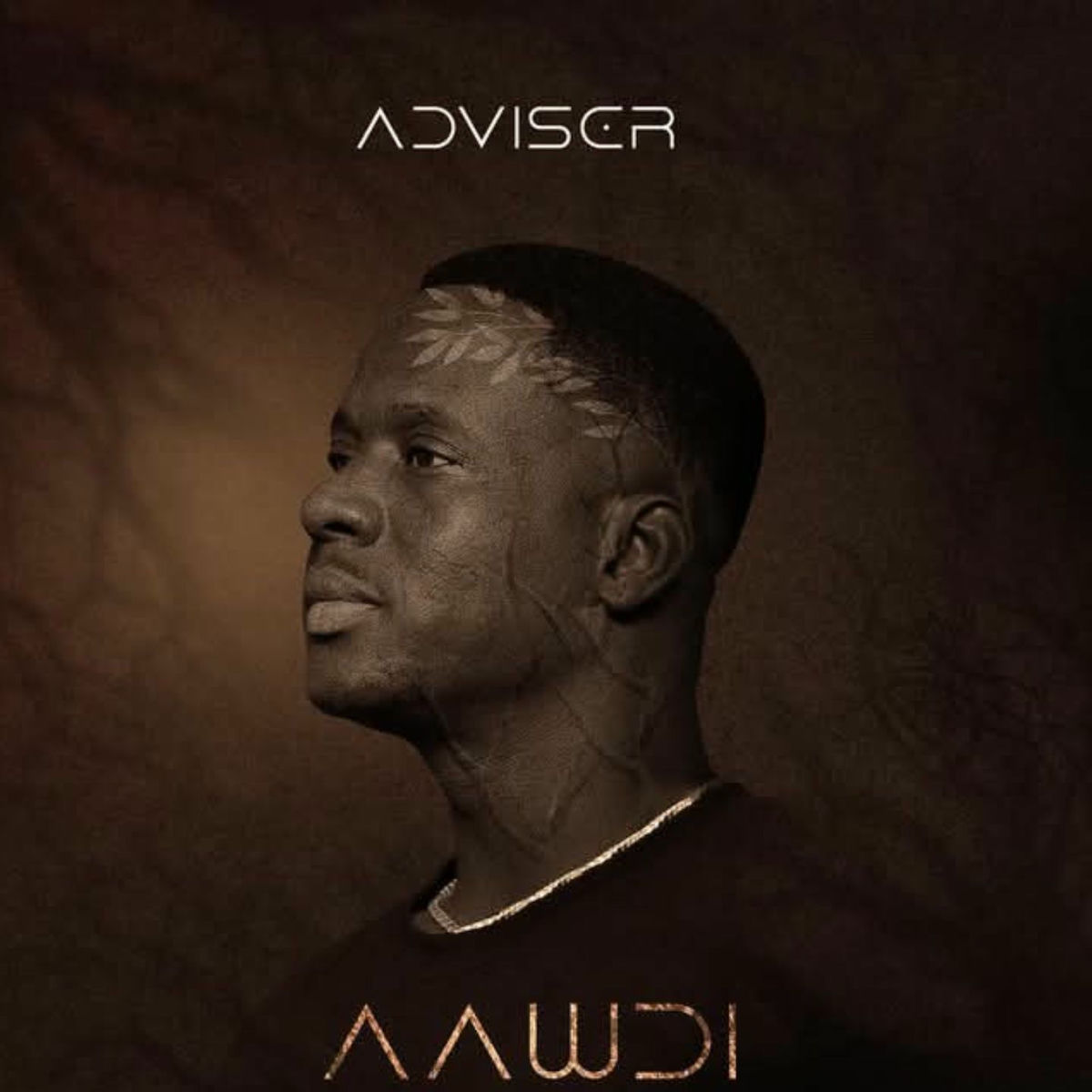 Album cover of AAWDI