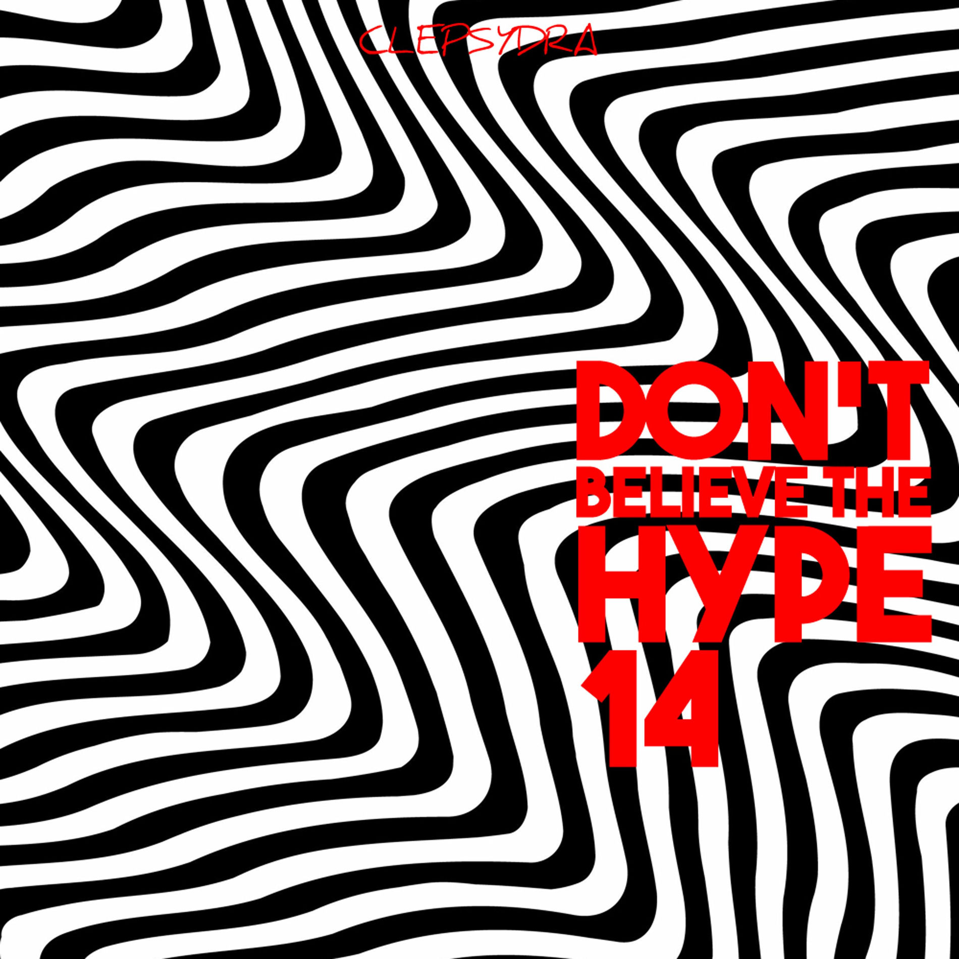 Album cover of Don't Believe the Hype 14