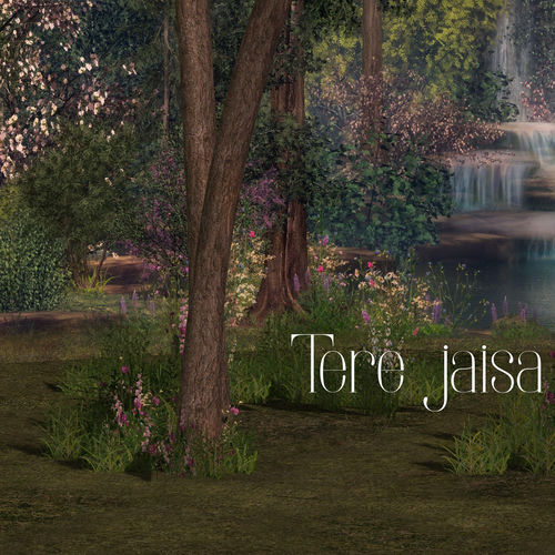 Tere jaisa
