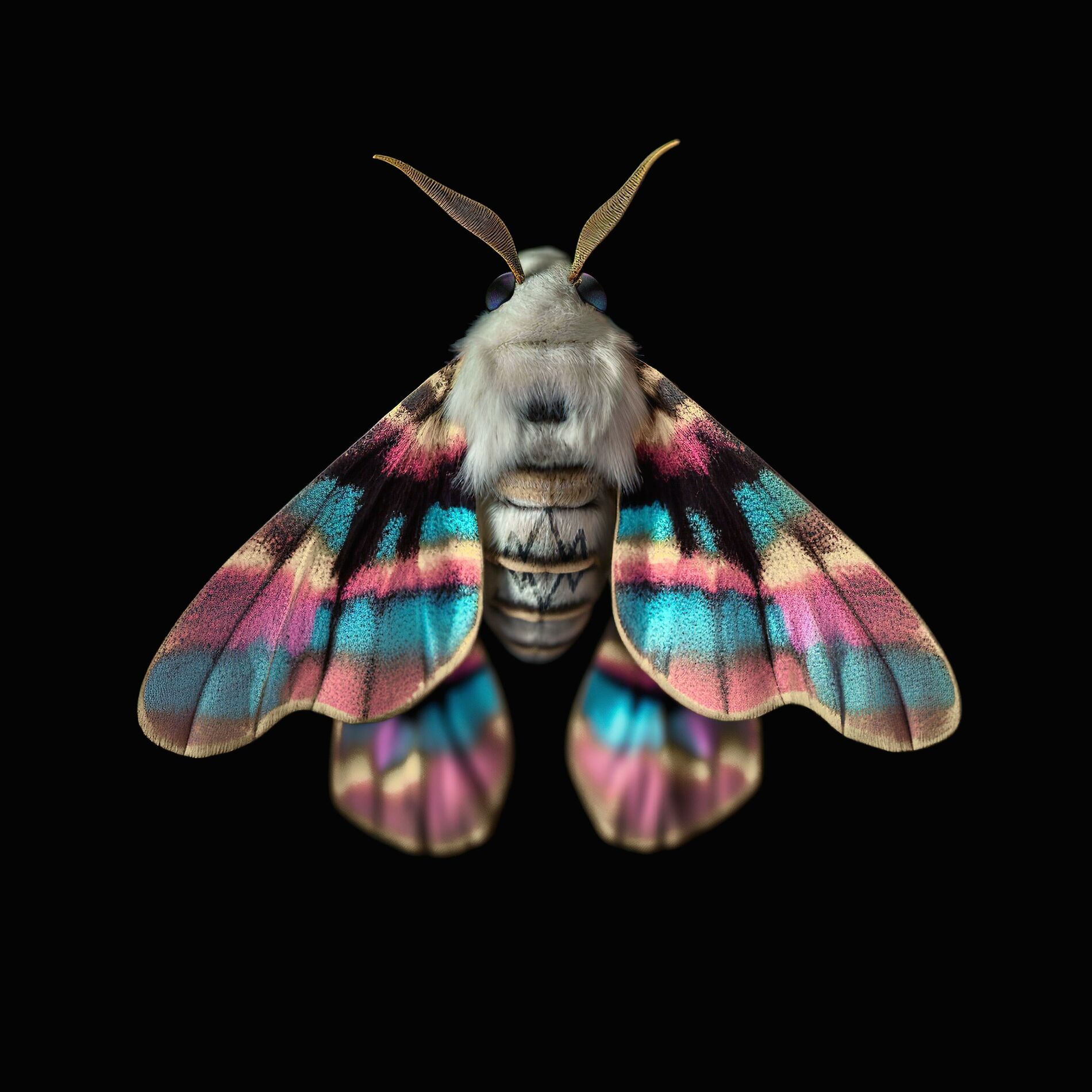 Album cover of Sleep in Peace