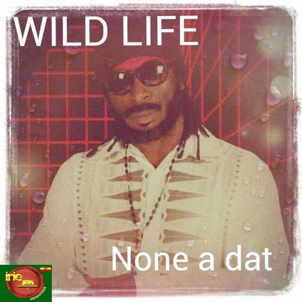 Picture of None a Dat