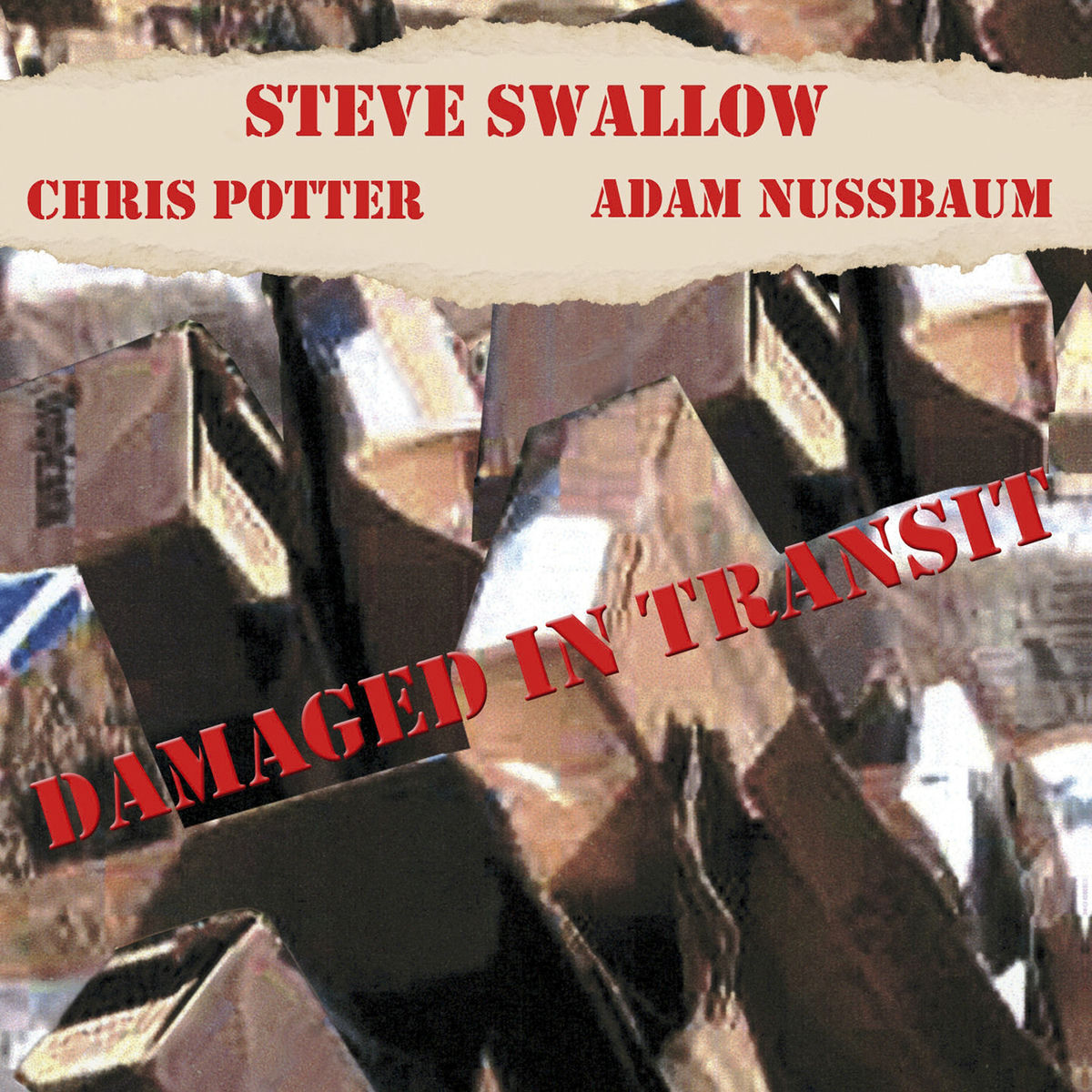 Album cover of Damaged In Transit