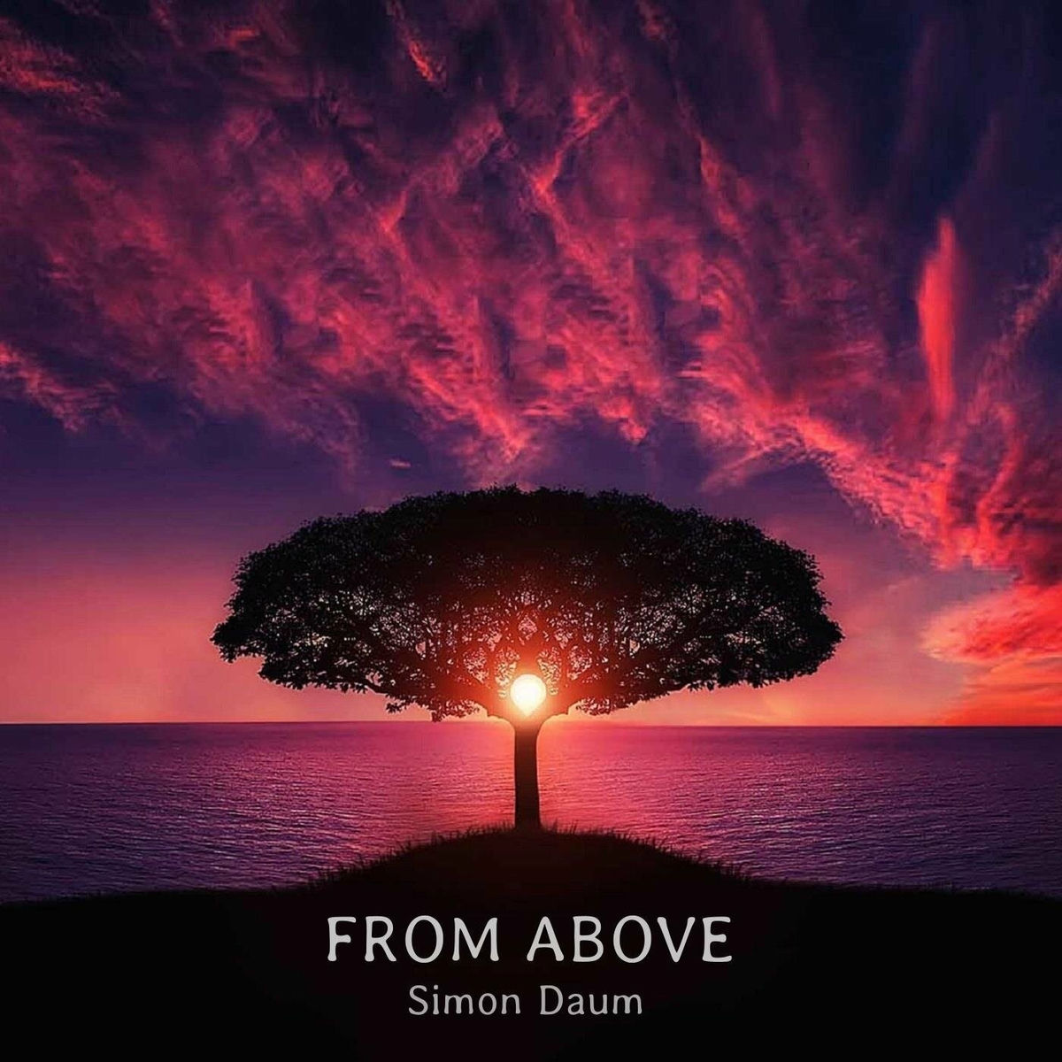 Album cover of From Above