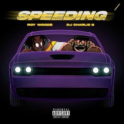 Cover of Speeding