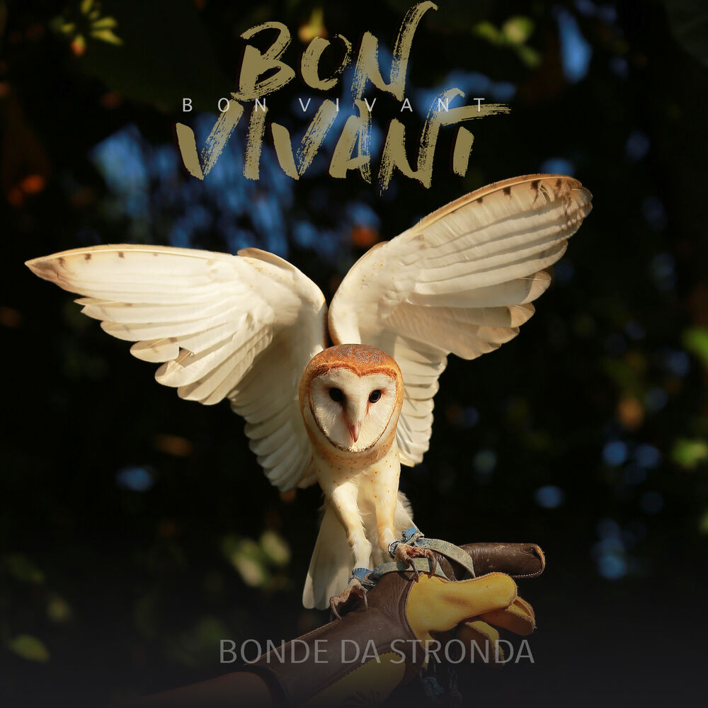 Picture of Bon Vivant