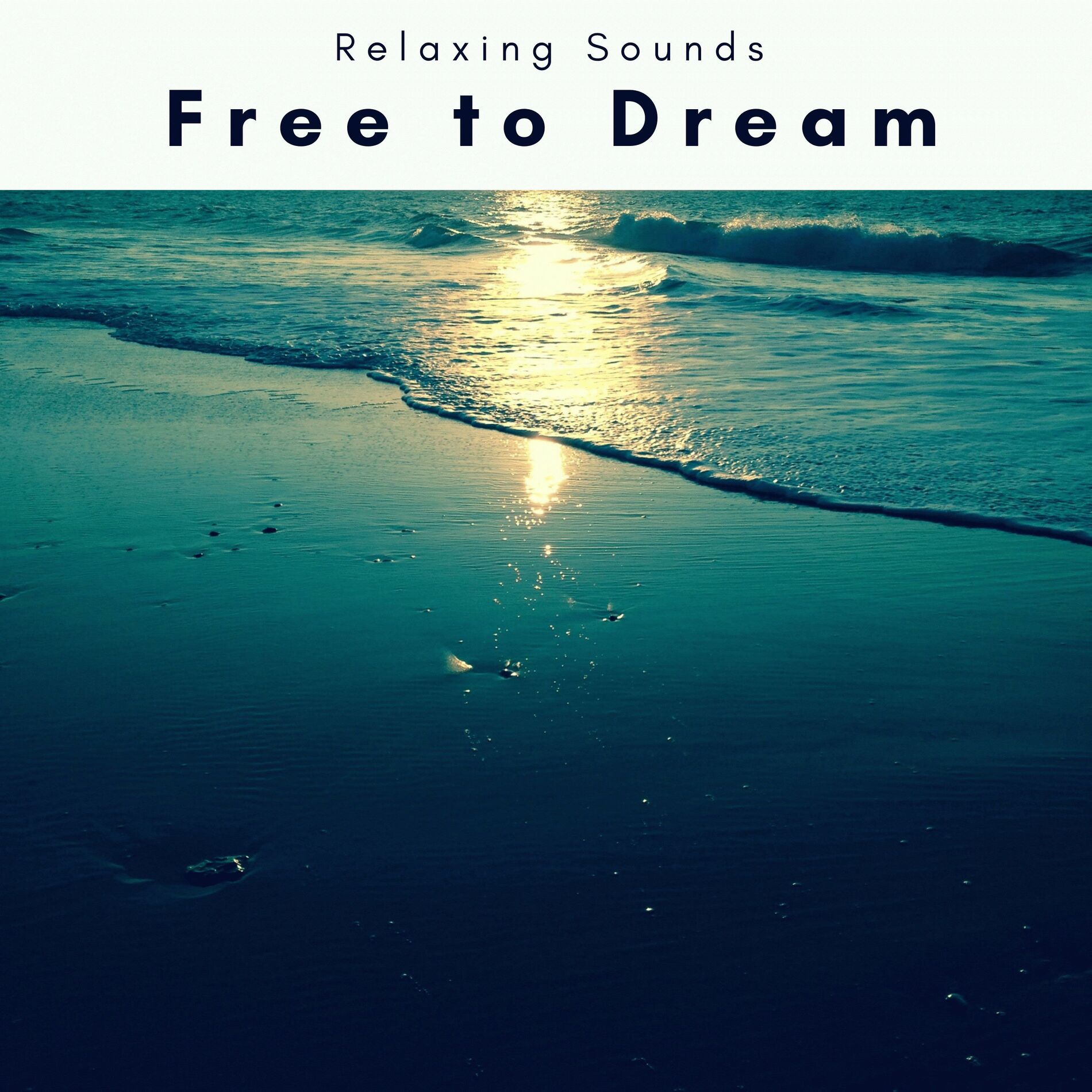 Album cover of Free to Dream