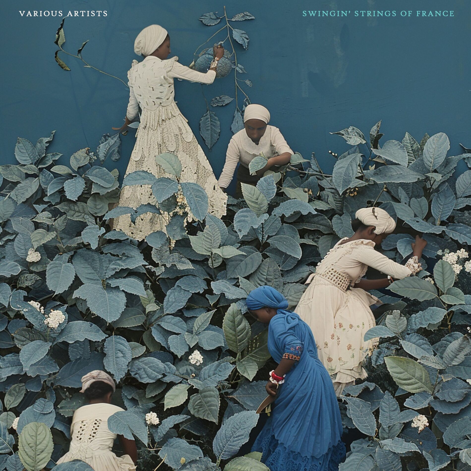 Album cover of Swingin' Strings of France