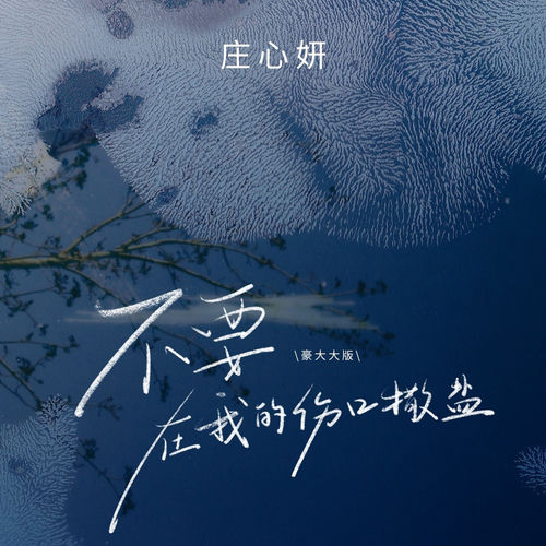 不要在我的伤口撒盐(豪大大版)
