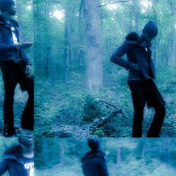 MYSHADOW