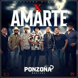 Cover of POR AMARTE
