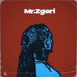Cover of Mr Zgori