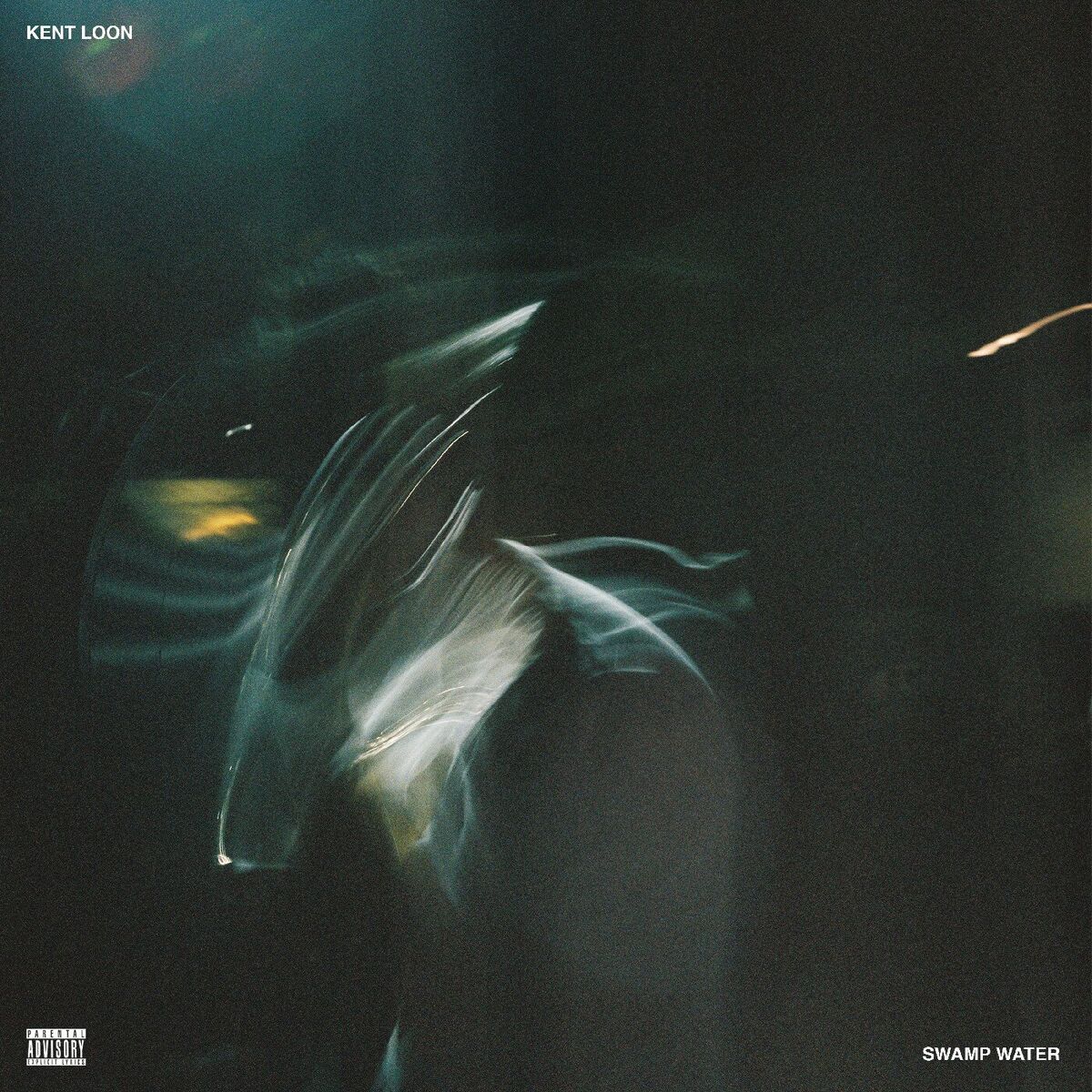 Album cover of Swamp Water