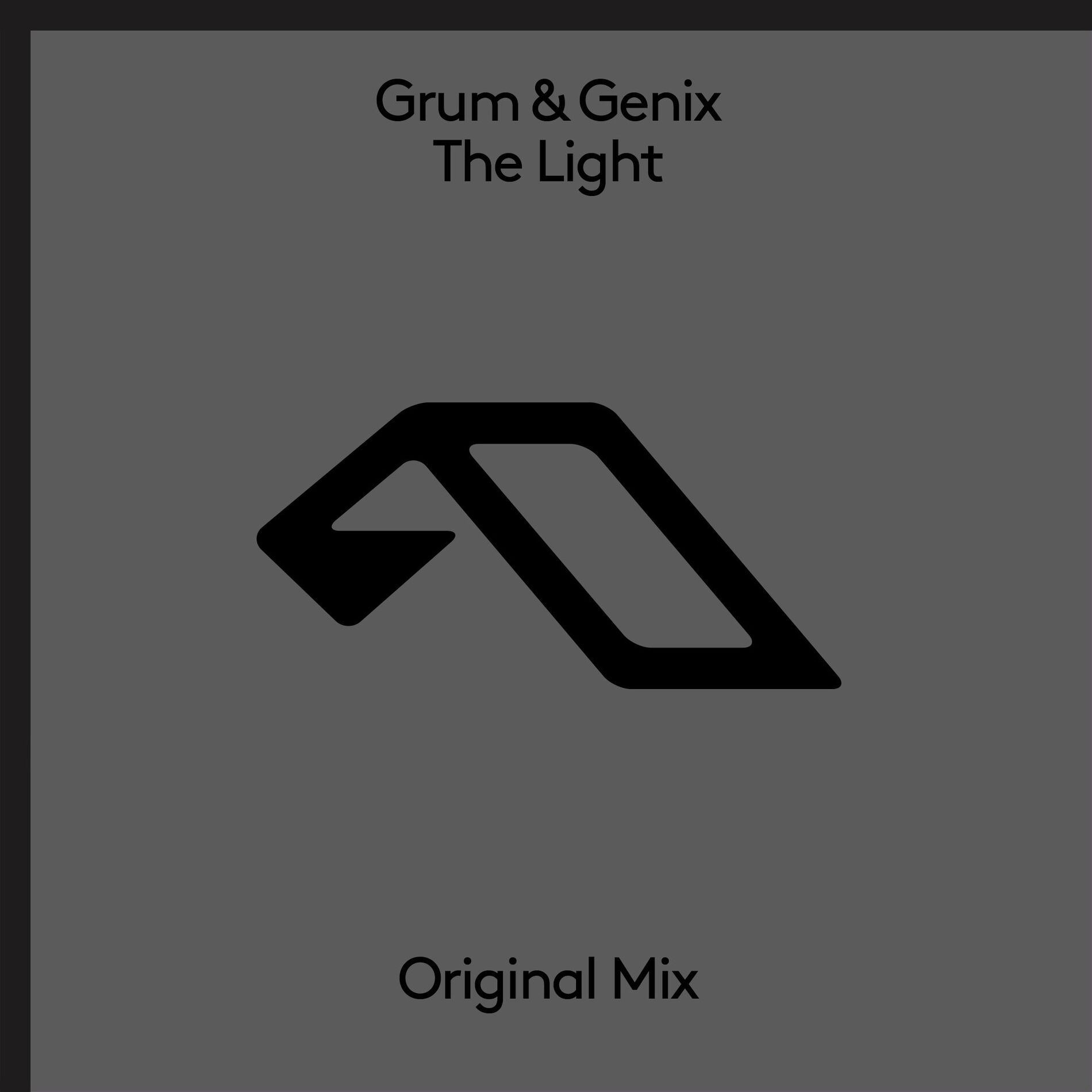 Album cover of The Light