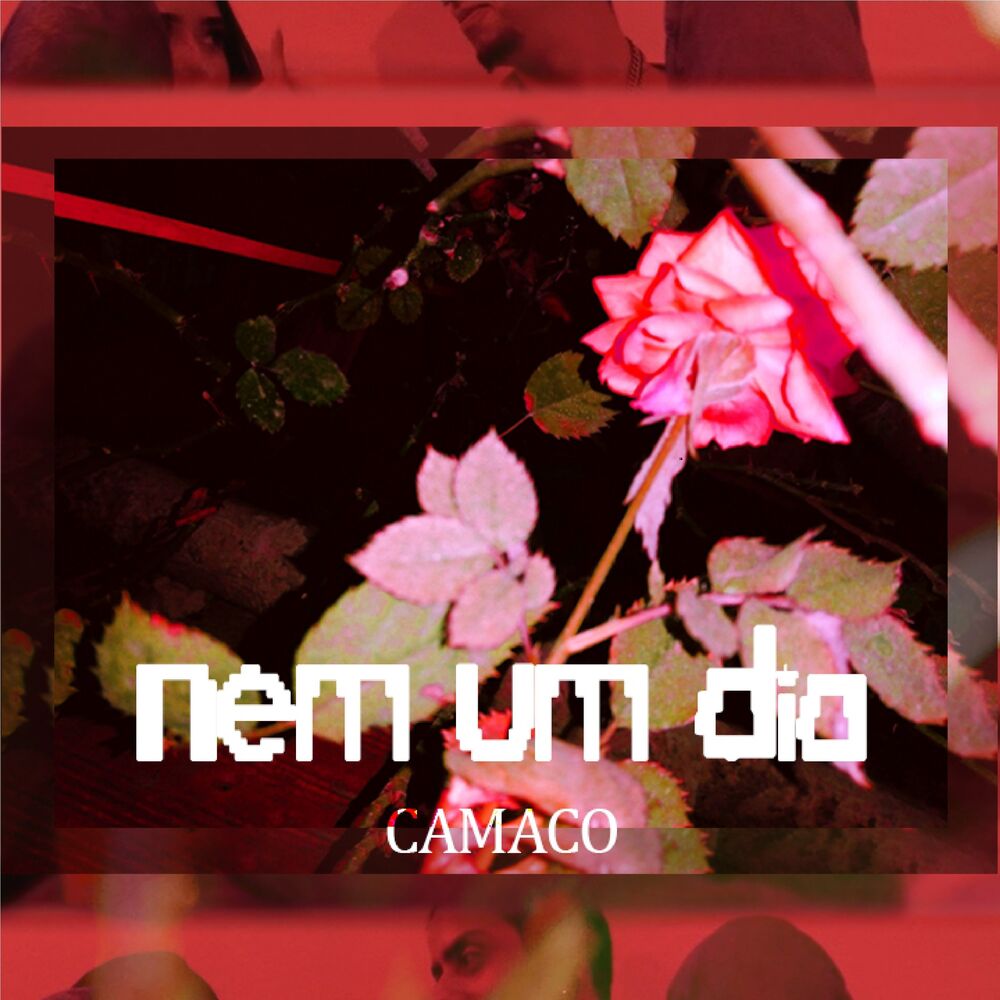 Picture of Nem um Dia