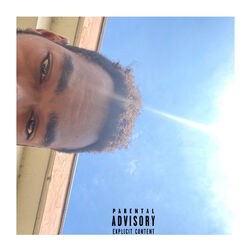 Cover of FORME FINALE