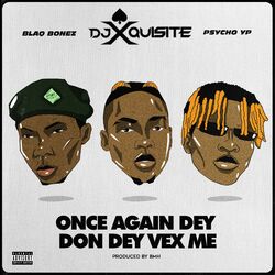 Cover of Once Again Dey Don Dey Vex Me