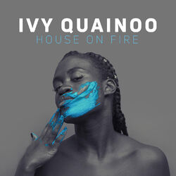 Cover of House On Fire
