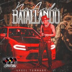Cover of No Ando Batallando