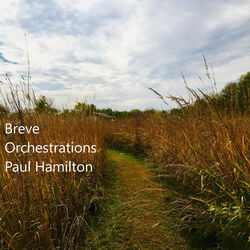 Cover of Breve Orchestrations