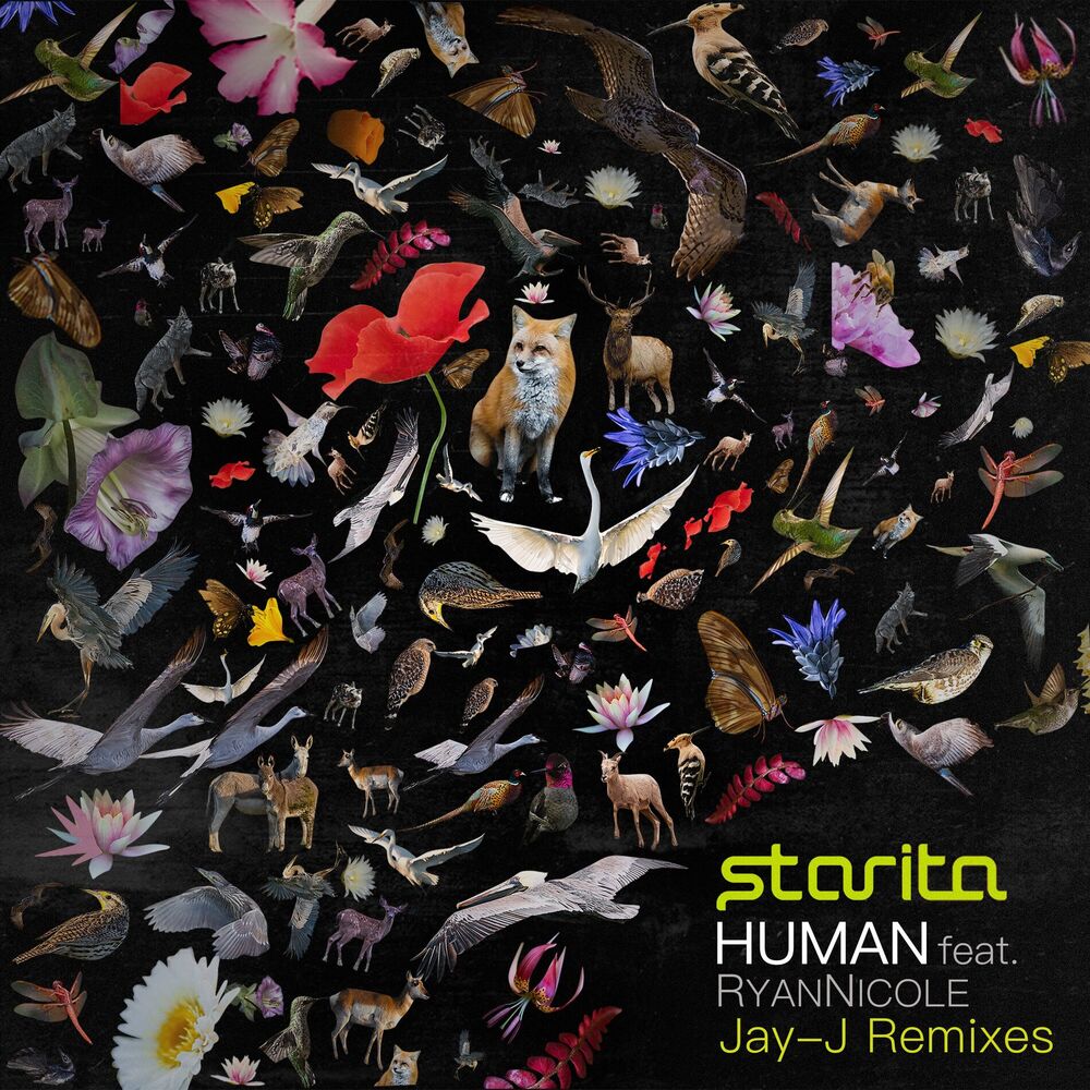 Picture of Human (Jay-J Remixes)
