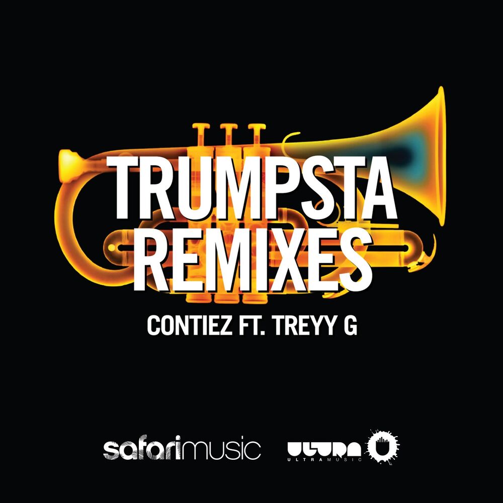 Picture of Trumpsta (Remixes) (feat. Treyy G)