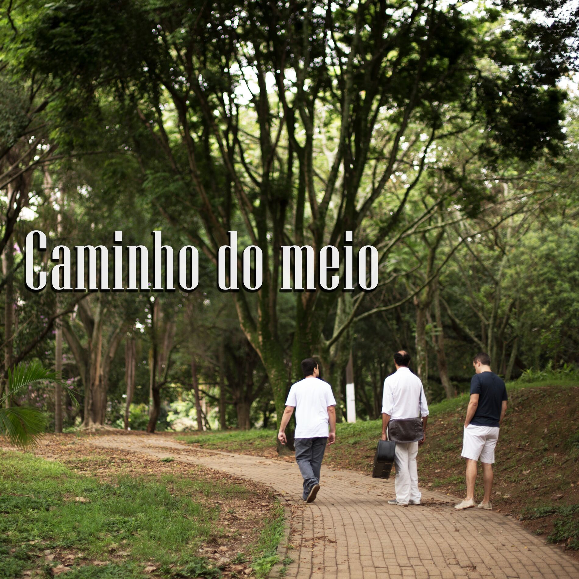 Album cover of Caminho do Meio