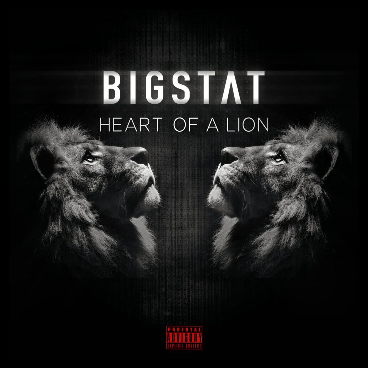 BigStat: albums, songs, concerts | Deezer