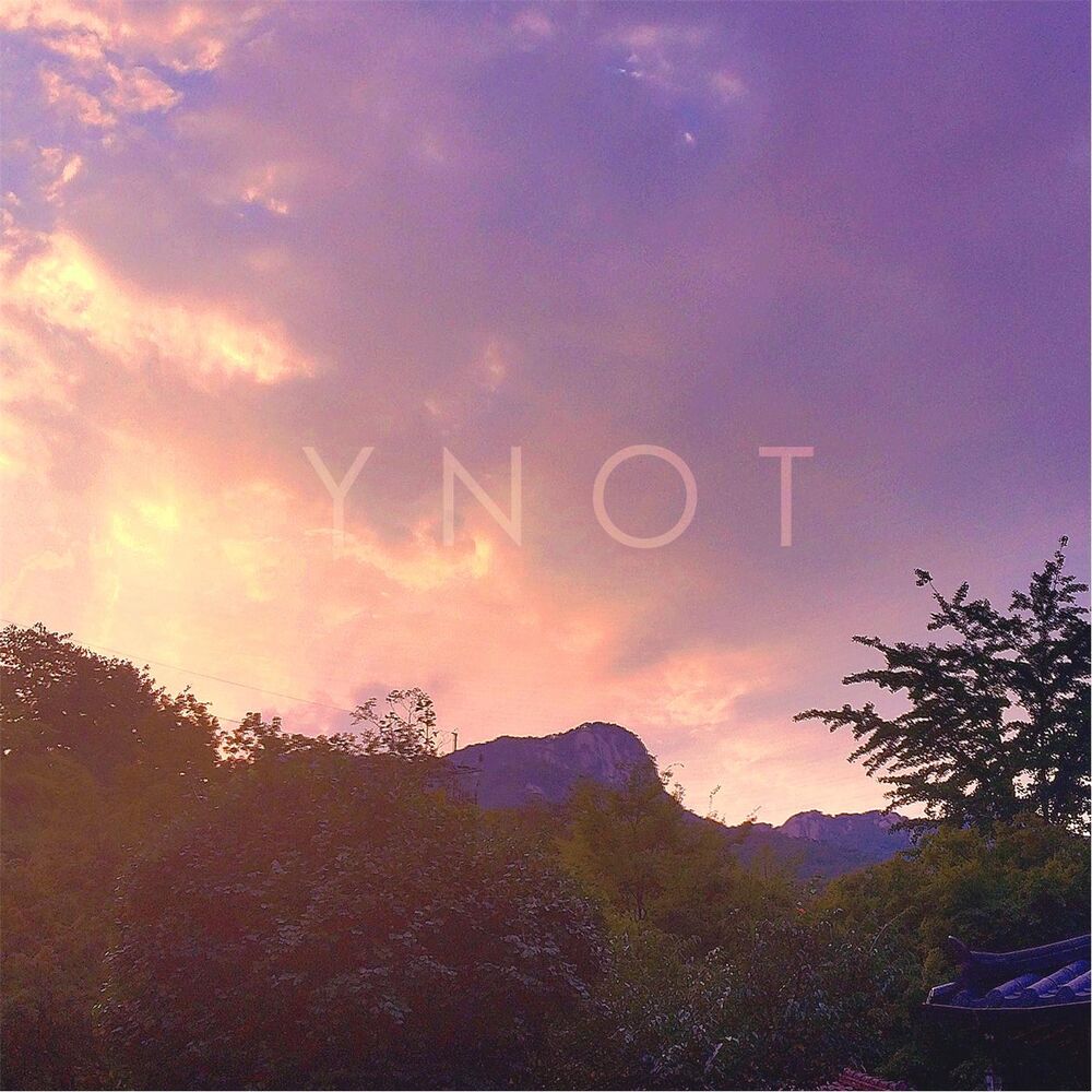 Picture of Ynot
