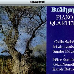 Cover of Brahms: Piano Quartets Nos. 1-3