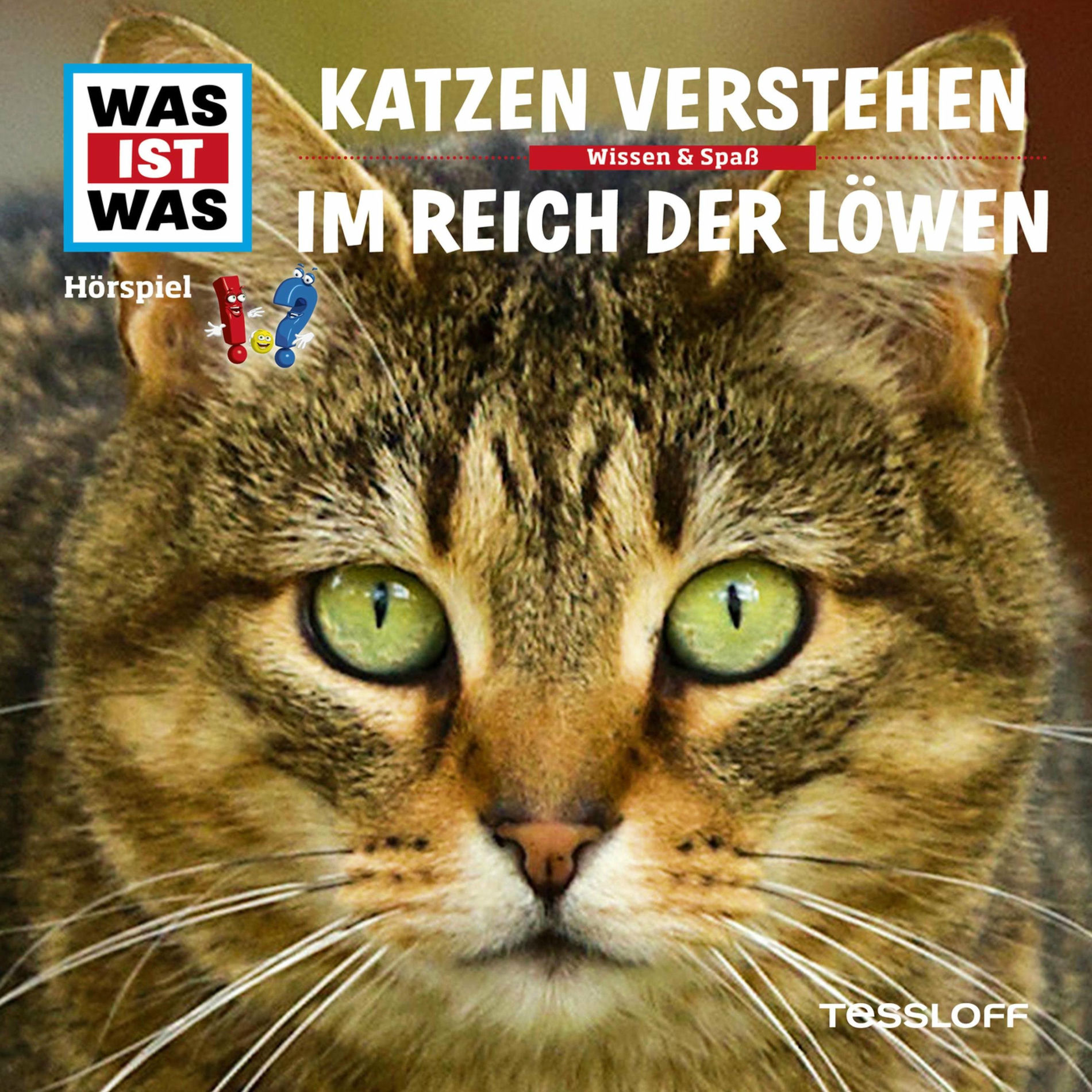 Album cover of Katzen verstehen - Teil 01