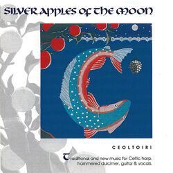 Cover of Silver Apples Of The Moon