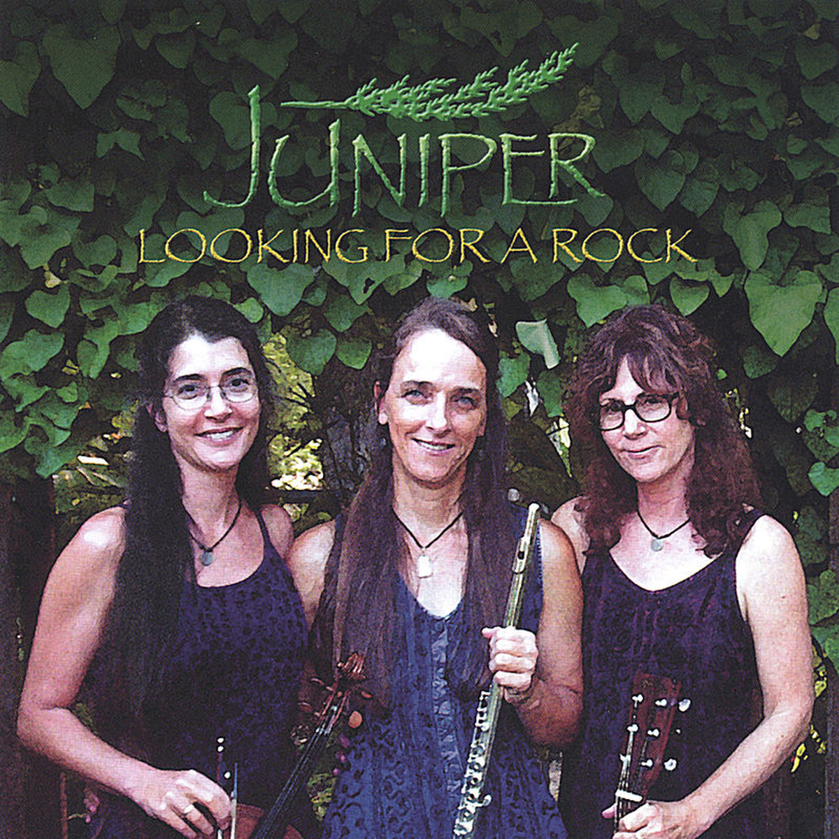 Album cover of Looking For A Rock