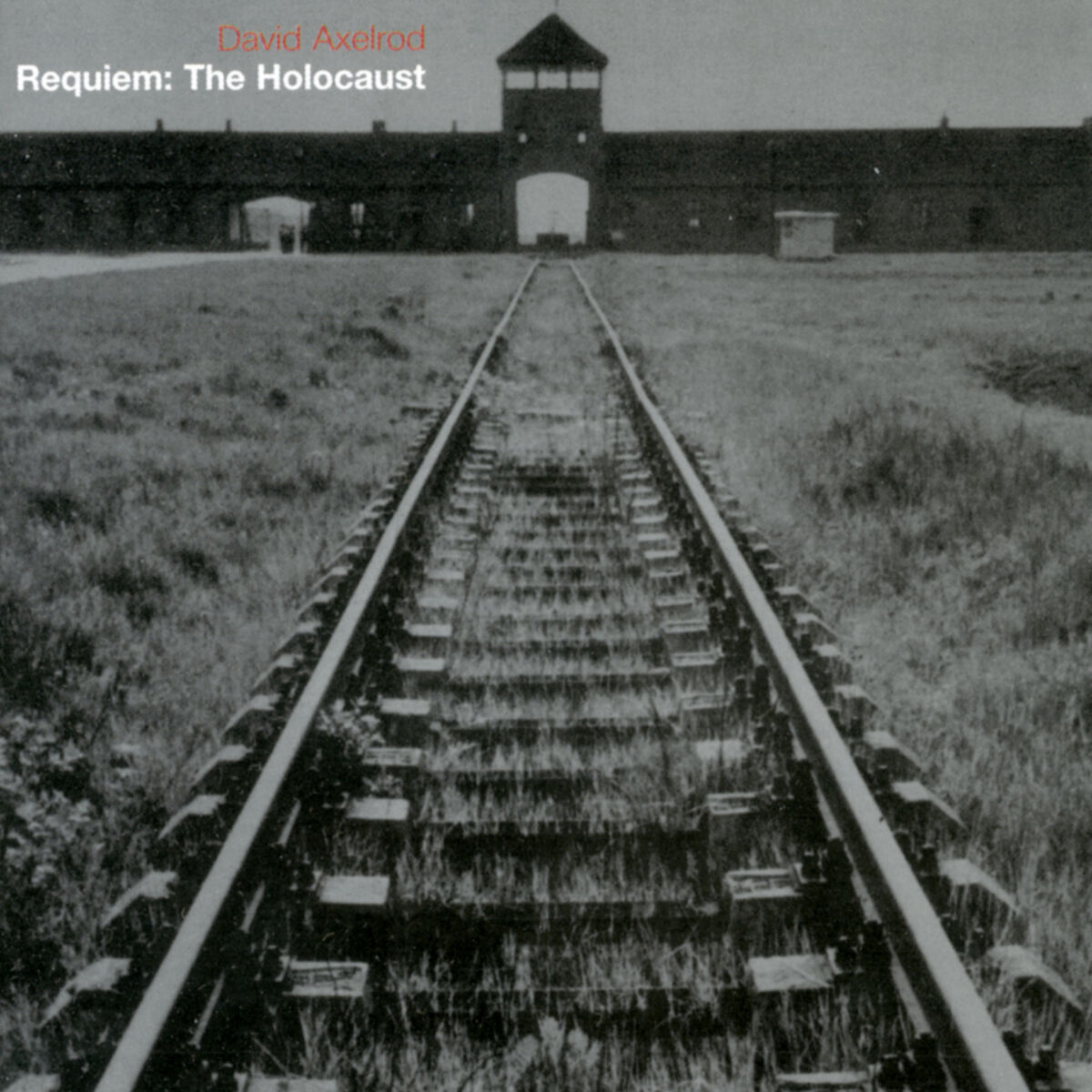 Album cover of Requiem - The Holocaust