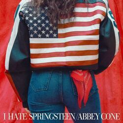 Cover of I Hate Springsteen