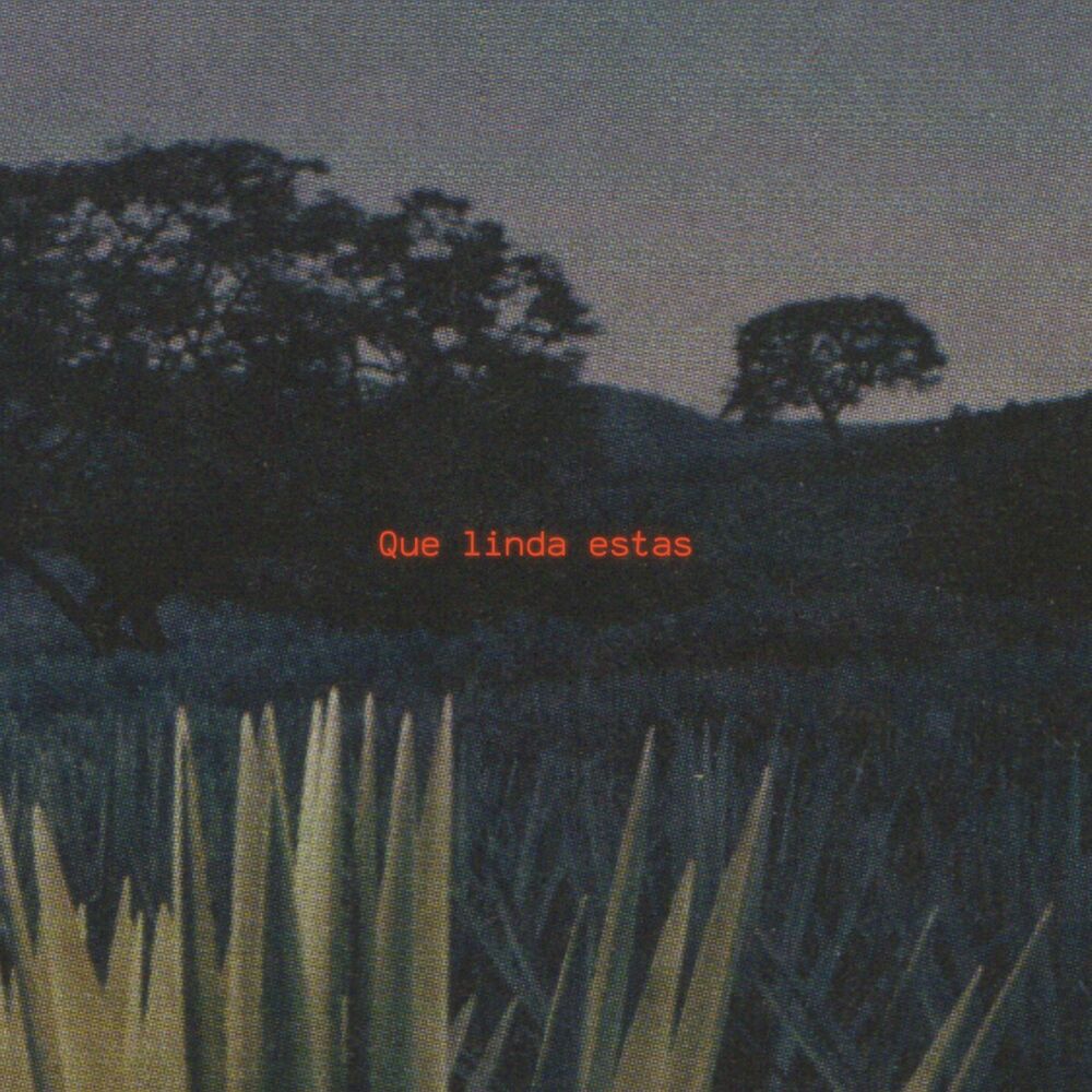 Picture of Que linda estas