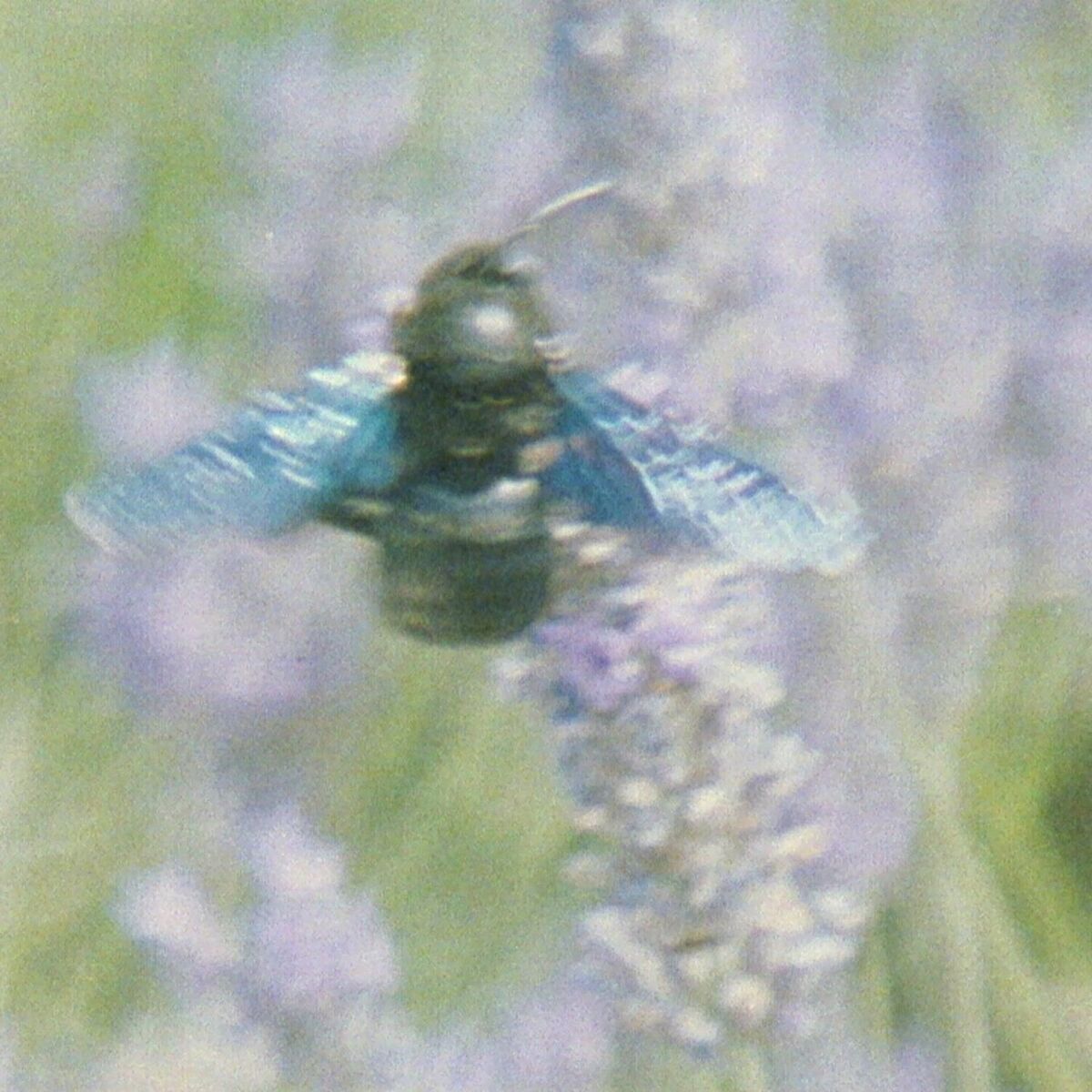 Album cover of So Long