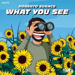 Cover of What You See