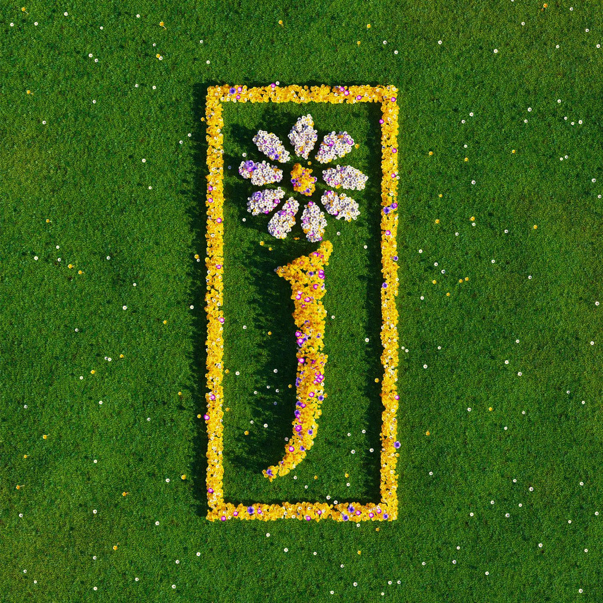 Album cover of Sit Down (7