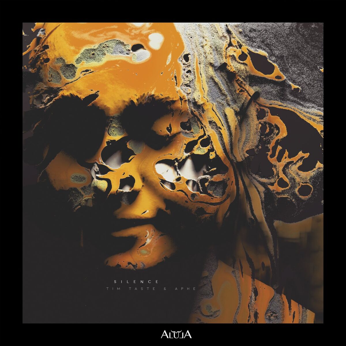 Album cover of Silence